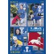 Dog coat in Bonus Dk (5792) 