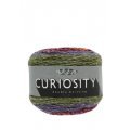King Cole Curiosity DK